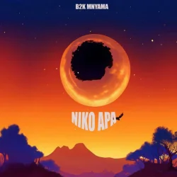 B2k Mnyama - Niko Apa | B2k Mnyama