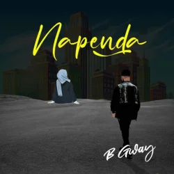 B Gway - Napenda