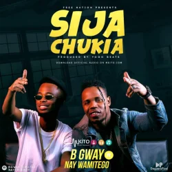 B Gway - Sijachukia (feat. Nay Wa Mitego)