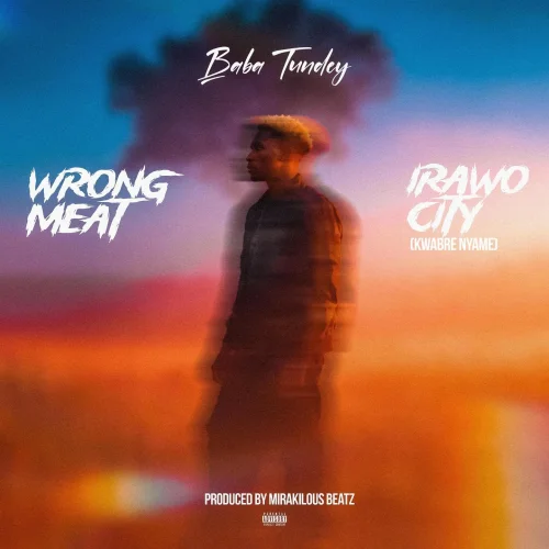 Baba Tundey - Wrong Meat