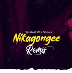 Baddest 47 - Nikagongee Remix (feat. Shilole)