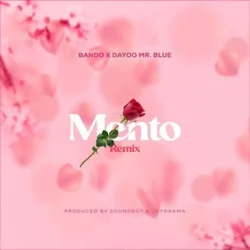 Bando - Mento Remix (feat. Mr Blue & Dayoo)