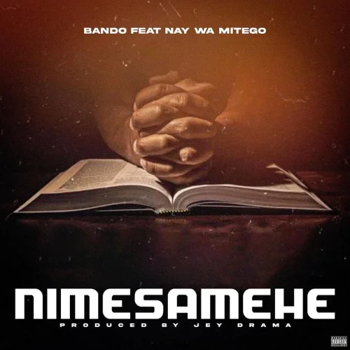 Bando - Nimesamehe I (feat. Nay Wa Mitego)