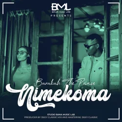 Baraka The Prince - NIMEKOMA