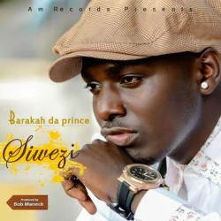 Baraka The Prince - Siwezi