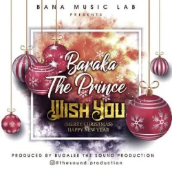 Baraka The Prince - Wish You