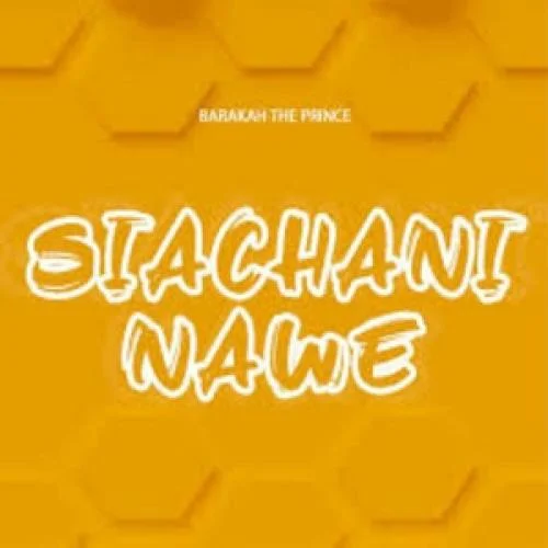 Barakah The Prince - Barakah The Prince_|Siachani Nawe