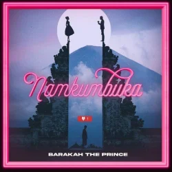 Barakah The Prince - Namkumbuka