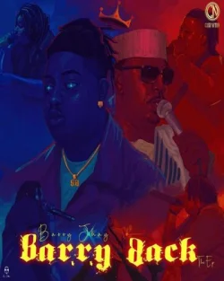 Barry Jhay - Ashe She