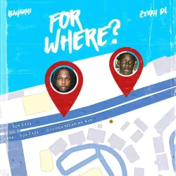 Bayanni - For Where (feat. ZerryDL)