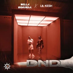 Bella Shmurda - DND - Do Not Disturb