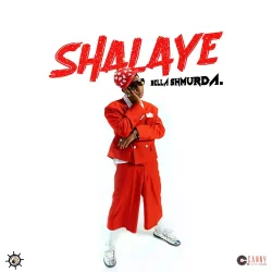 Bella Shmurda - Shalaye