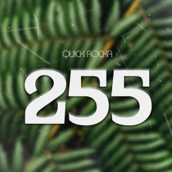 Belle 9 - 255 (feat. Quick Rocka)