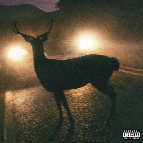 Oli - Tumemanques