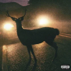 Oli - Tumemanques