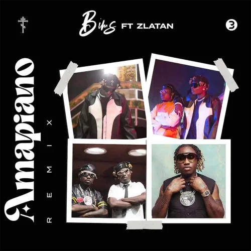 Bims - Amapiano (Remix) (feat. Zlatan)