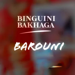 Binguini Bakhaga - Barouni