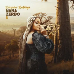 Binguini Bakhaga - Nana Zerbo 3
