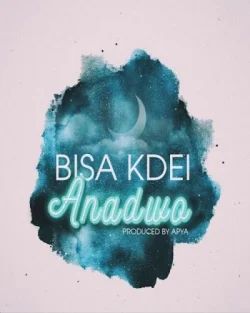Bisa Kdei - Anadwo
