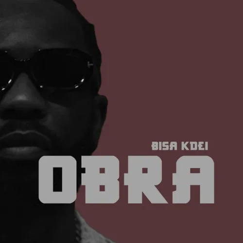Bisa Kdei - Obra