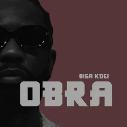 Bisa Kdei - Obra