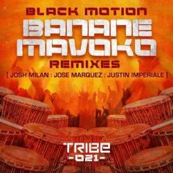 Black Motion & Jah Rich - Banane Mavoko (2011)