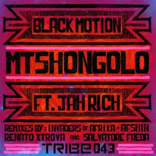 Black Motion & Jah Rich - Mtshongolo (Afshin Main Mix)