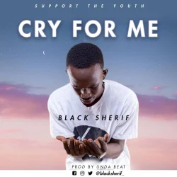 Black Sherif - Cry For Me