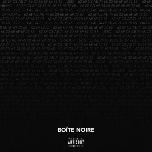 Boîte Noire - Treillis (feat. Ninho)