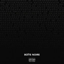 Boîte Noire - Treillis (feat. Ninho)
