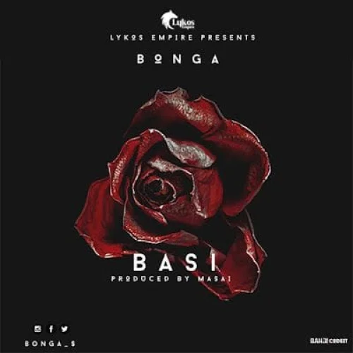 Bonga - Basi