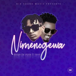 Bonga De Alpha - Nimenogewa (feat. Level)