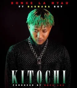 Bonge La Nyau - Kitochi (feat. Barnaba)