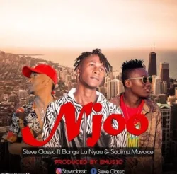 Bonge La Nyau - ve classic (feat. Sadimu Mavoice – Njoo)