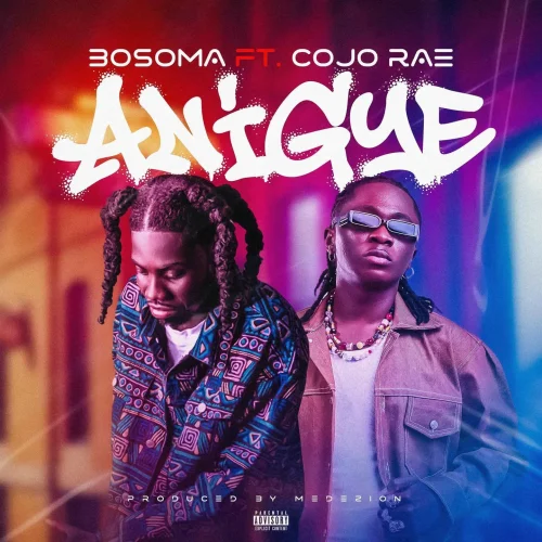 Bosoma - Anigye (feat. Cojo Rae)