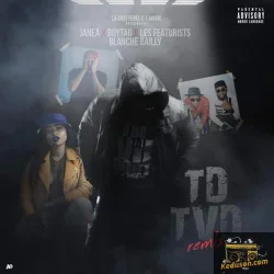 BoyTag - TDTVD (Tu Dors Ta Vie Dort) Remix (feat. Featurist)