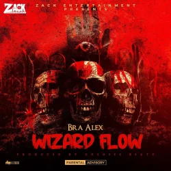 Bra Alex - Wizard Flow