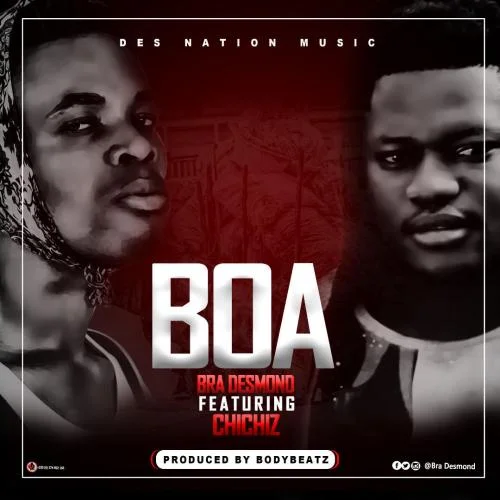 Bra Desmond - Boa