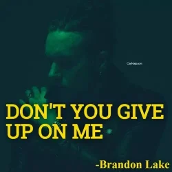 Brandon Lake - Don't You Give Up On Me