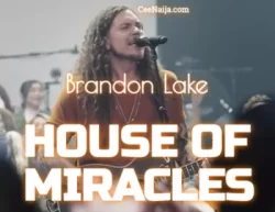 Brandon Lake - Just Like Heaven