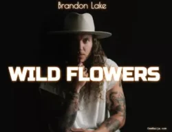 Brandon Lake - Wildflowers