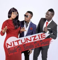 Bright - Nitunzie (feat. Baraka The Prince)