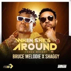 Bruce Melodie - When She’s Around (Funga Macho)