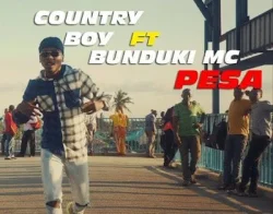 Bunduki - Pesa (feat. Country Boy)