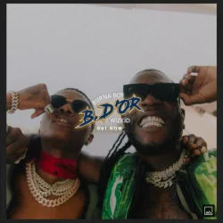Burna Boy - B.D'or