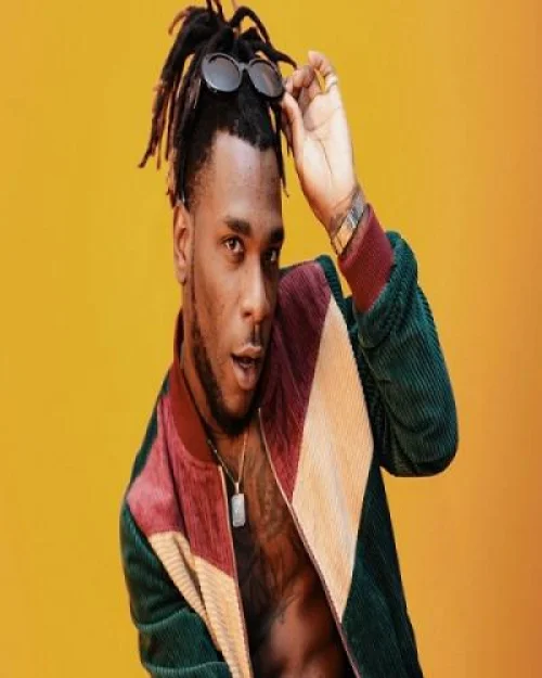 Burna Boy - Collateral Damage
