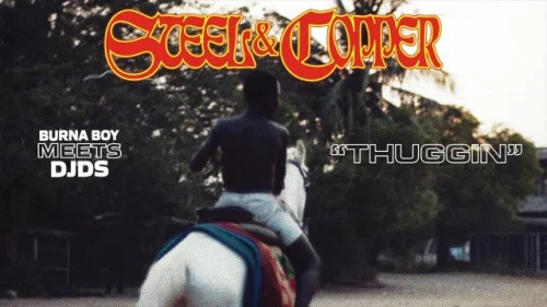 Burna Boy - Thuggin (feat. DJDS)