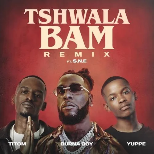 Burna Boy - Tshwala Bam (Remix) (feat. S.N.E)