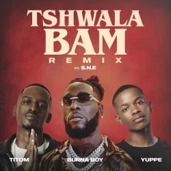 Burna Boy - Tshwala Bam (Remix) (feat. S.N.E)