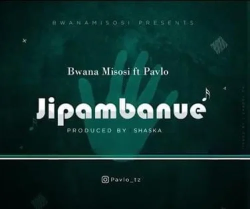 Bwana Misosi - Jipambanue (feat. Pavlo)